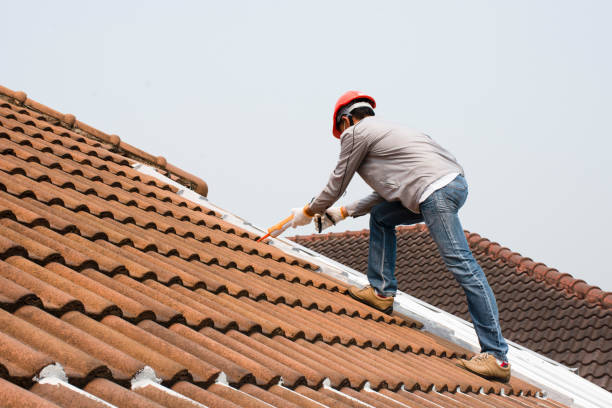 Best Storm Damage Roof Repair  in Elizabethtown, NC